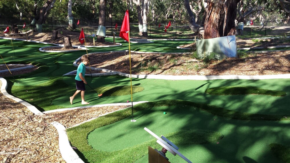 Bimbi Park - Camping Under Koala