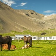 The 10 Top Snaefellsnes Peninsula Hotels In 2018 71 Hotel Deals Hotels In Snaefellsnes Peninsula Kast Guesthouse