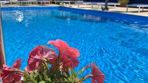 Outdoor pool, pool umbrellas, pool loungers
