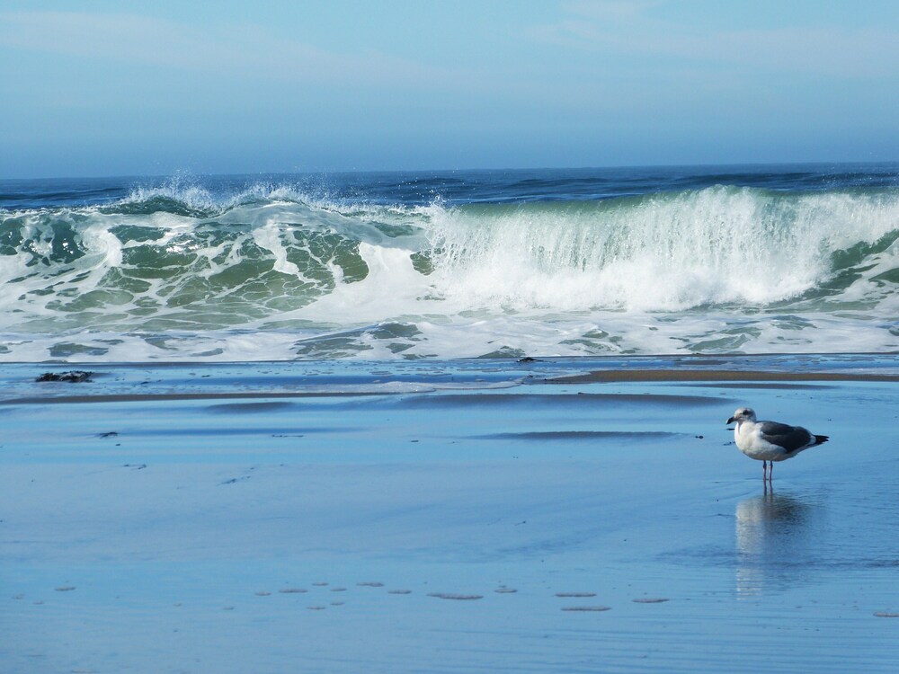 "Sea Breeze" 5 minute walk to Beach & Store.
