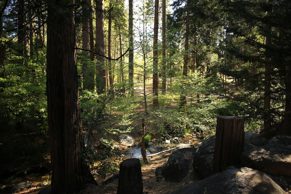 Secluded "Hidden Heaven"  Vintage Cabin on Strawberry Creek, Walk to town