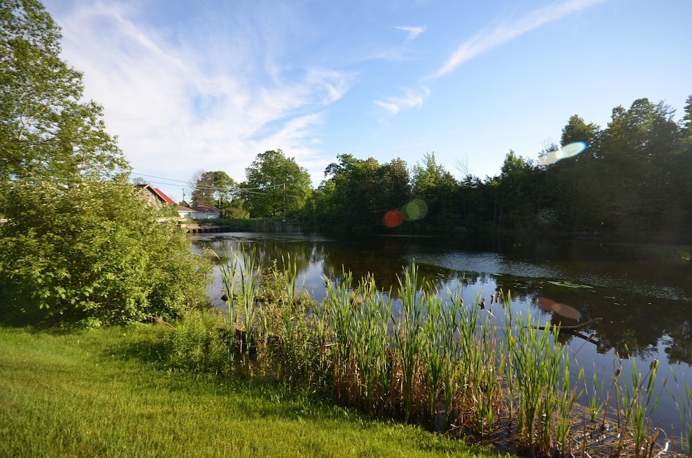 Cozy cottage with private pond. Pet friendly.