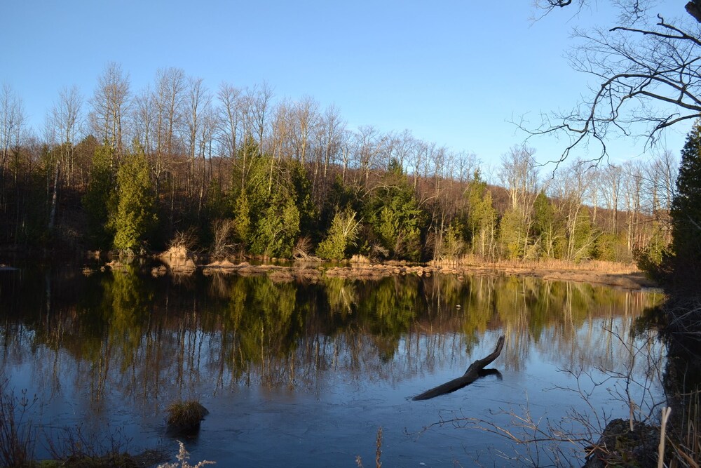 Cozy cottage with private pond. Pet friendly.