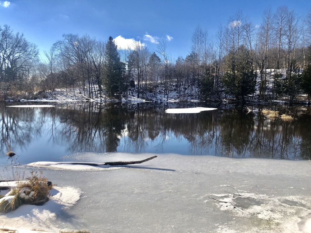 Cozy cottage with private pond. Pet friendly.
