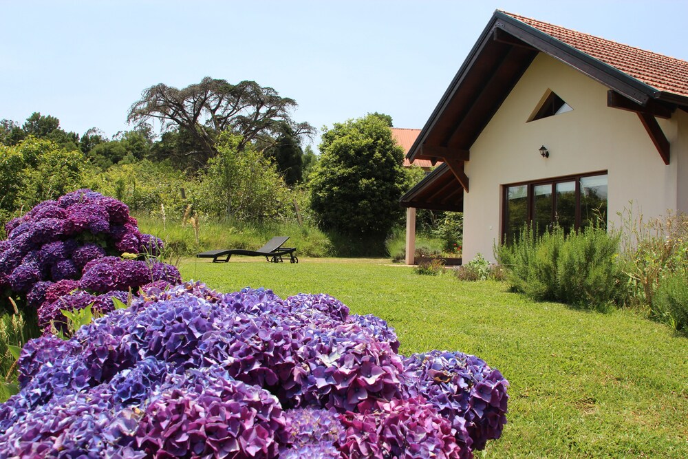 Foto - Bio Quinta do Pantano, Agro Turismo