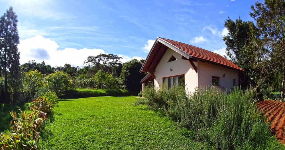 Foto - Bio Quinta do Pantano, Agro Turismo