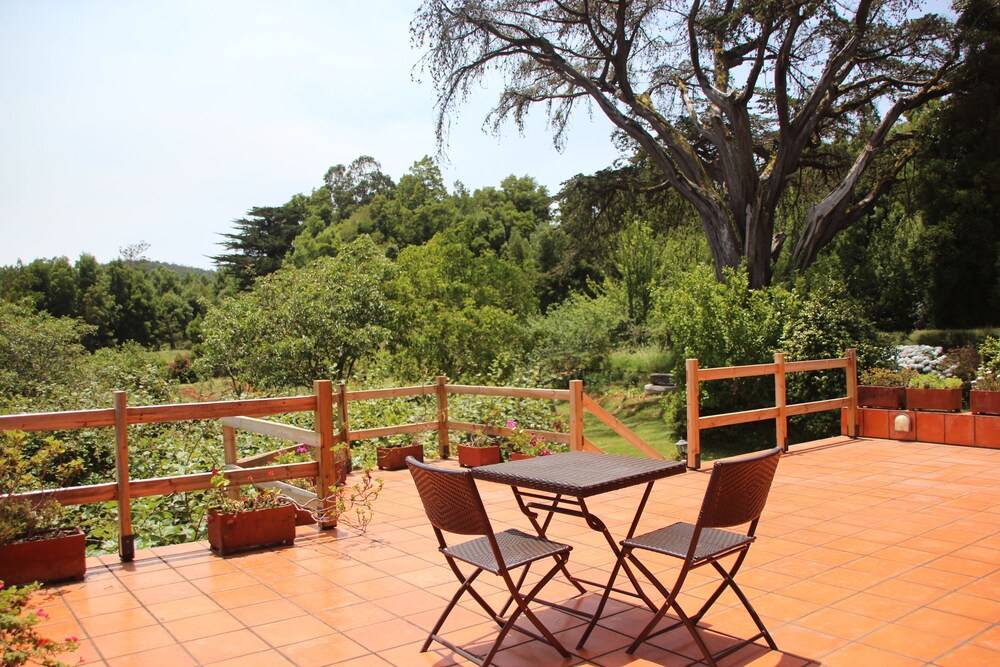 Foto - Bio Quinta do Pantano, Agro Turismo