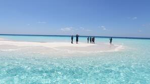 Plage, plongée sous-marine