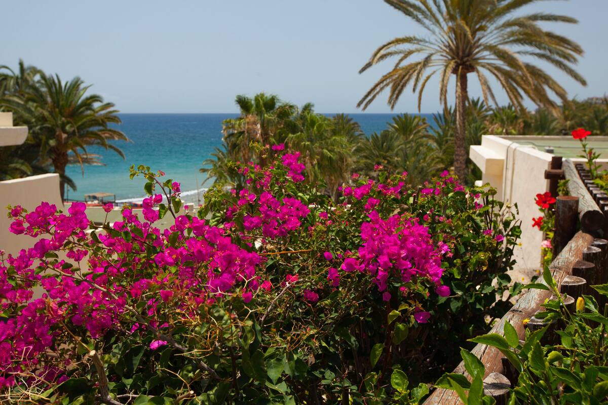 Tui Blue Tres Vidas In San Bartolome De Tirajana Expedia