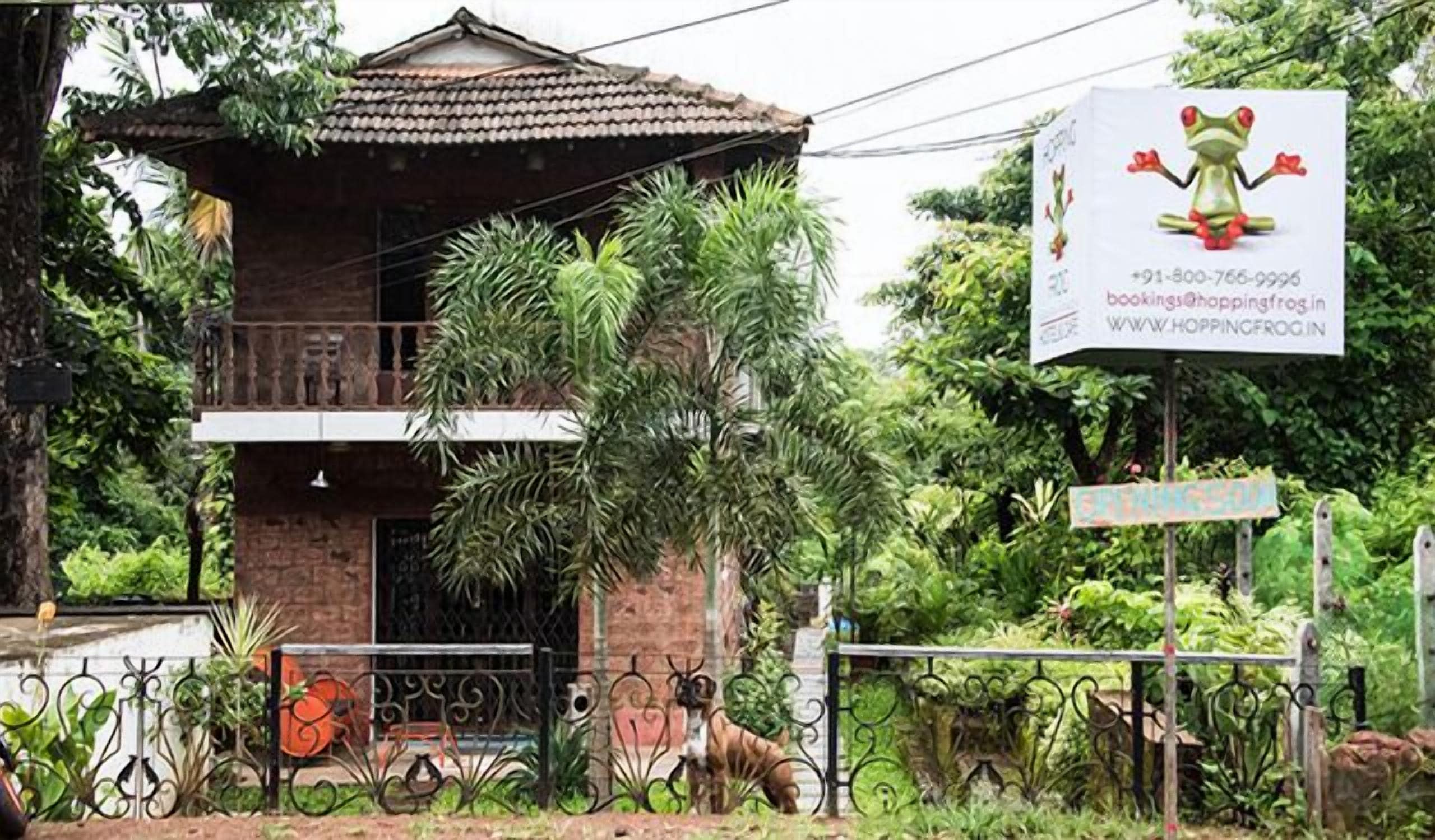 Hopping Frog