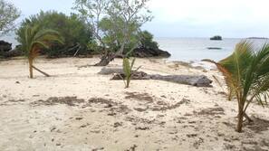 On the beach, scuba diving, snorkeling, kayaking