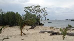 On the beach, scuba diving, snorkeling, kayaking