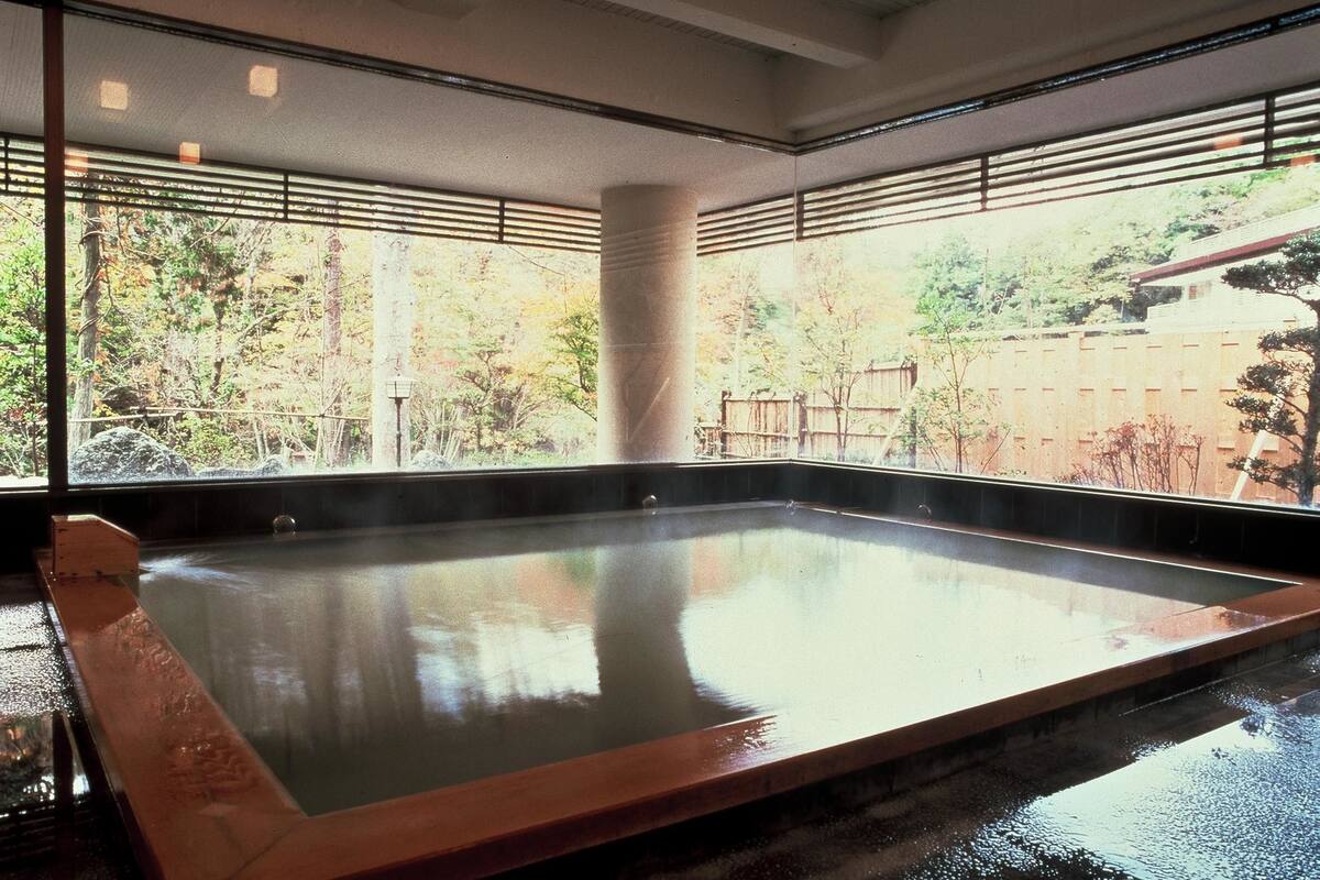 秘湯の宿 元泉館 口コミ 部屋写真 料金 お得情報 エクスペディア 秘湯の宿 元泉館 口コミ 部屋写真 料金 お得情報 エクスペディア