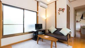 Flat-screen TV