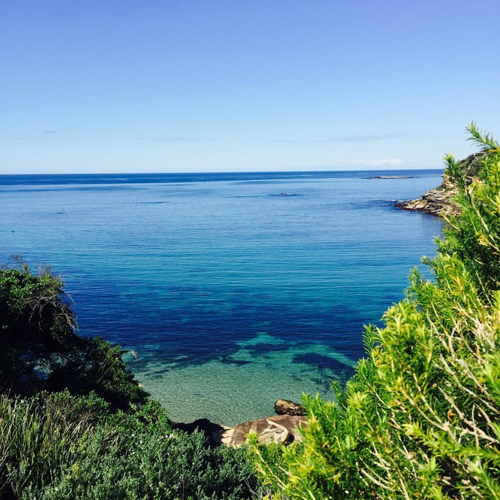 Beach, Coogee Beach House - Hostel