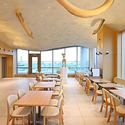 Hotel Wing International Premium Kanazawa Ekimae Kanazawa - 