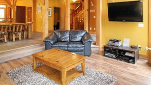 TV, fireplace, video game console, DVD player