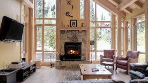 TV, fireplace, video game console, DVD player