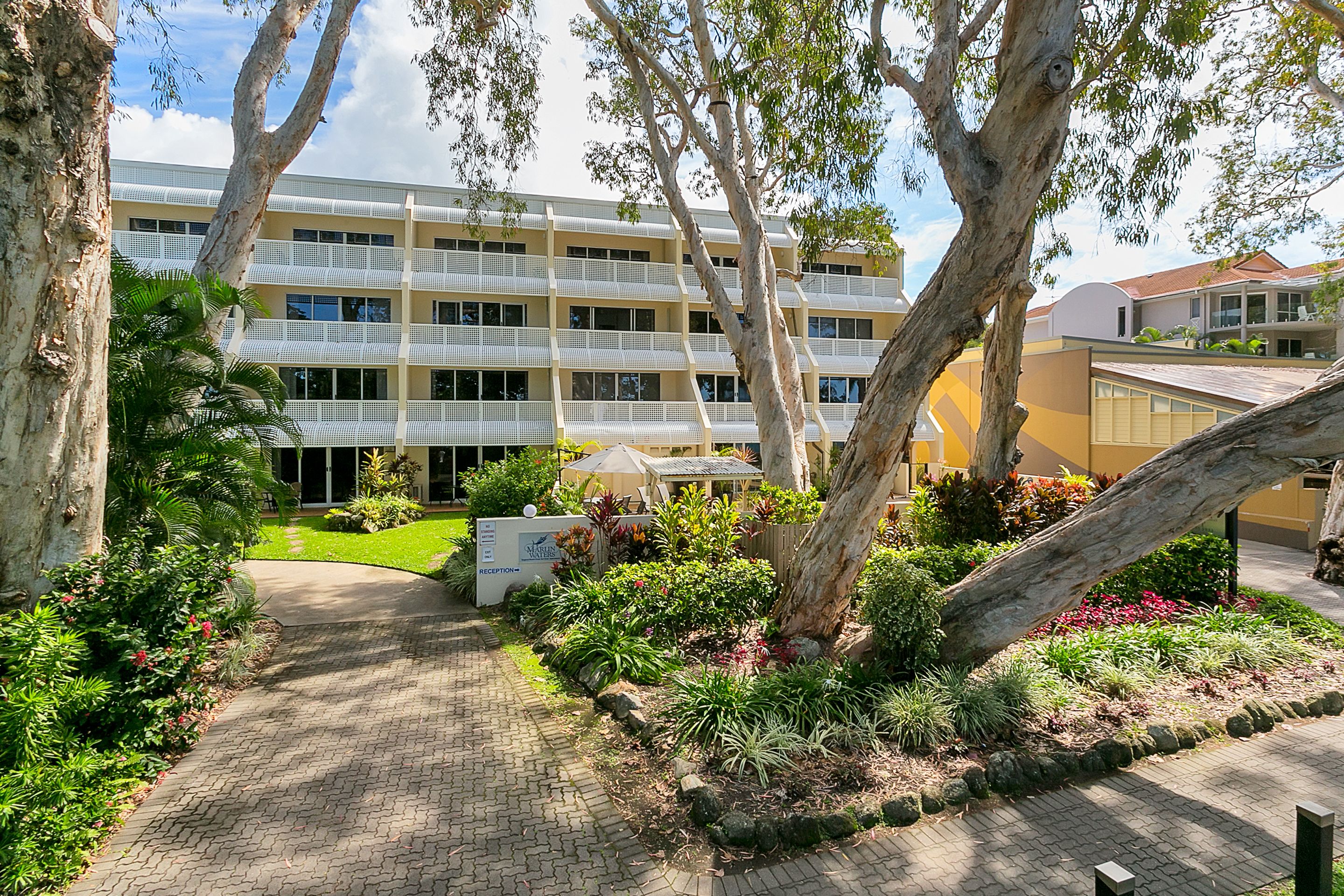 Hibiscus On Palm Cove at Marlin Waters
