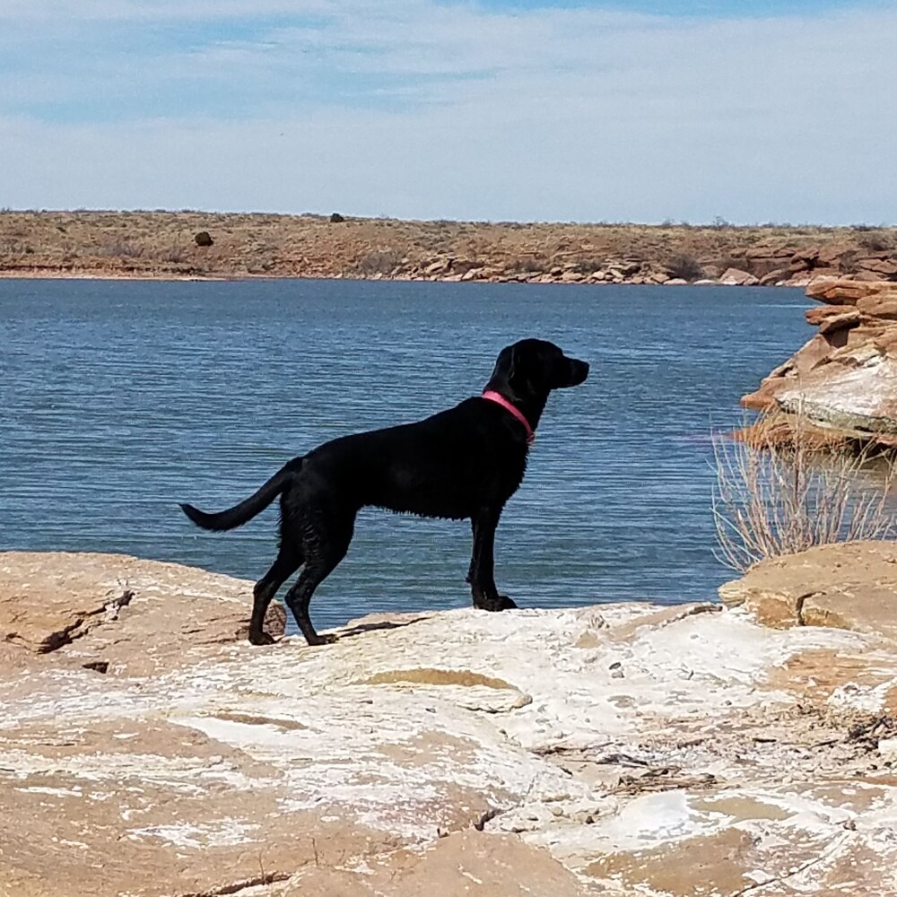 Beautiful Aframe Lake House at Ute Lake Logan, NM in Logan Best