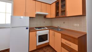 Full-sized fridge, oven