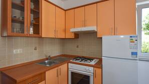 Full-sized fridge, oven