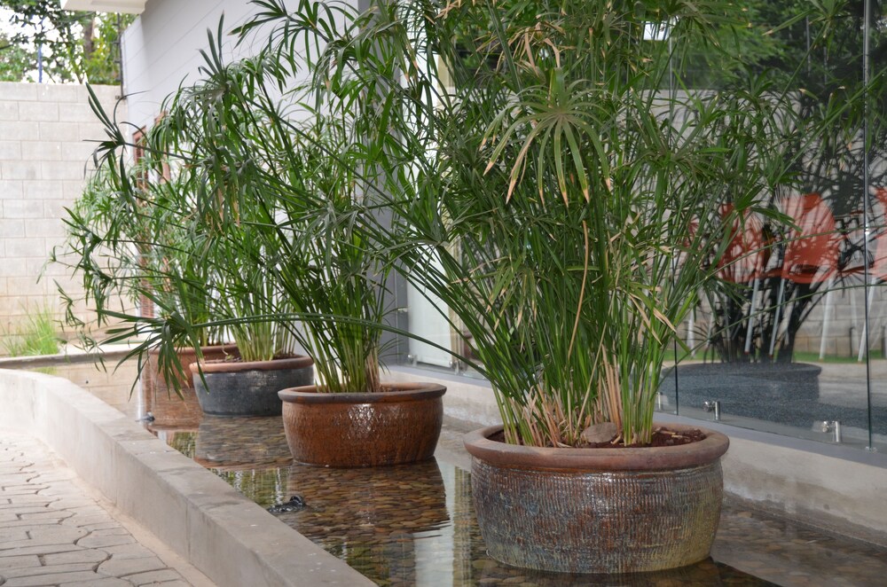 Photo - Elements Hotel Boutique