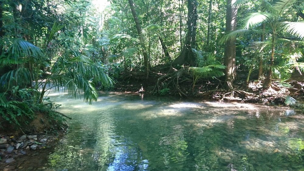 Daintree Peaks ECO Stays