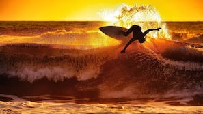 On the beach, sun-loungers, surfing