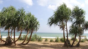 On the beach