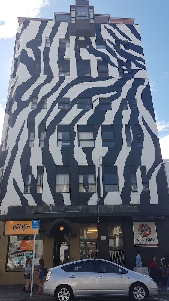 Wild Zebra Backpackers in Wellington, New Zealand