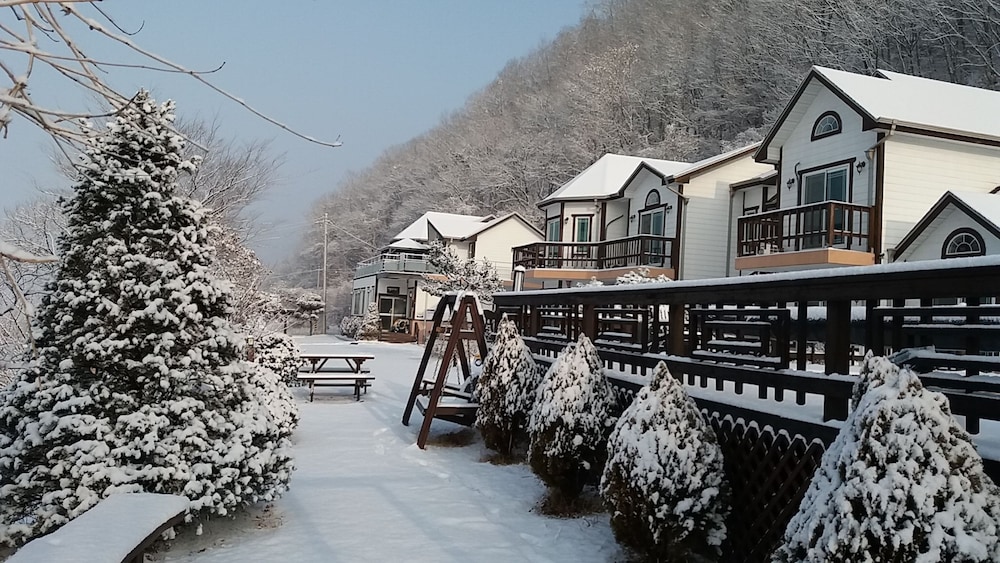 Forest of Color Pension in Hongcheon | Best Rates & Deals on Orbitz
