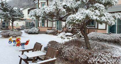 Forest of Color Pension