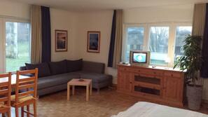 Flat-screen TV