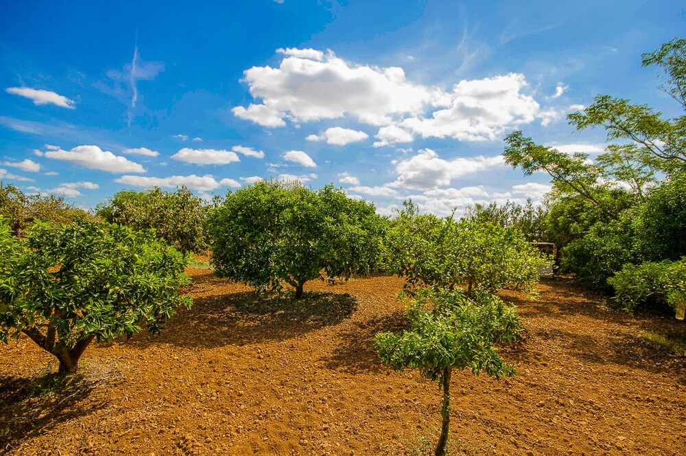 Photo - Can Pascolet