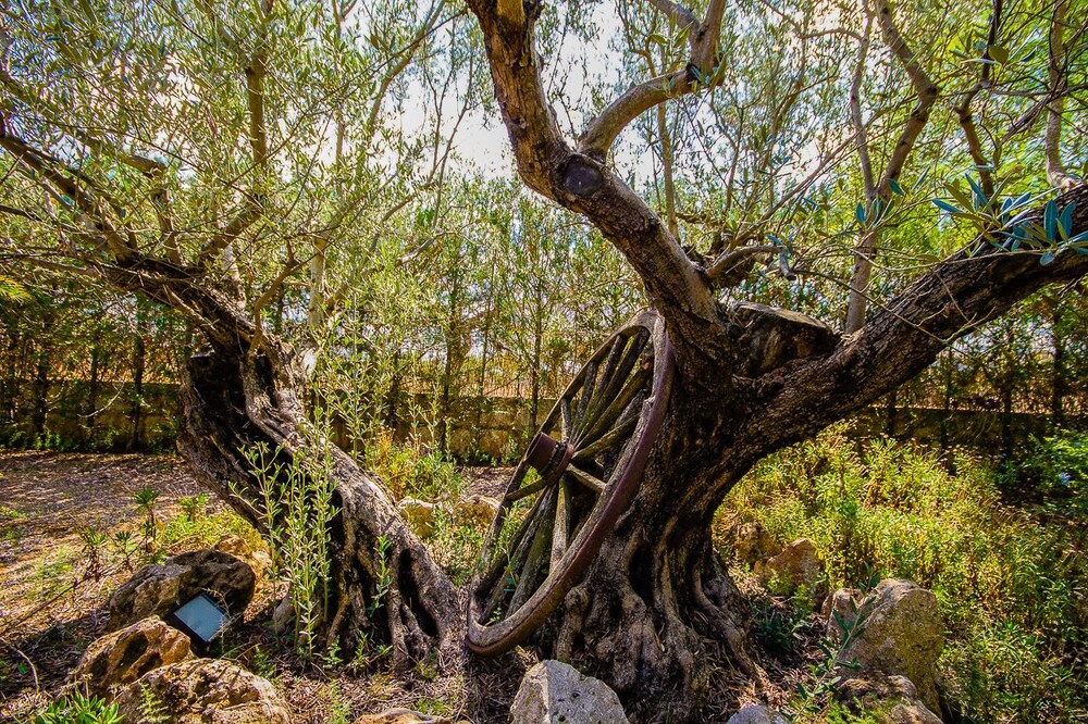 Photo - Can Pascolet