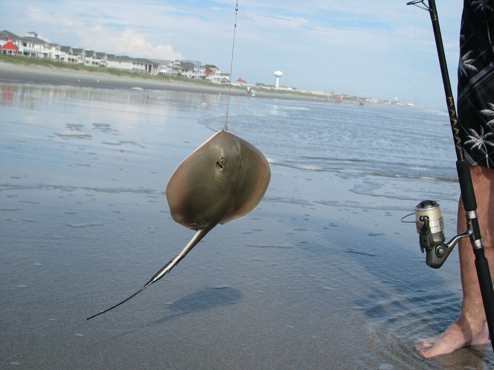 WOW views! Oceanfront condo, Pool 2BD 2 BA Ocean Isle Beach