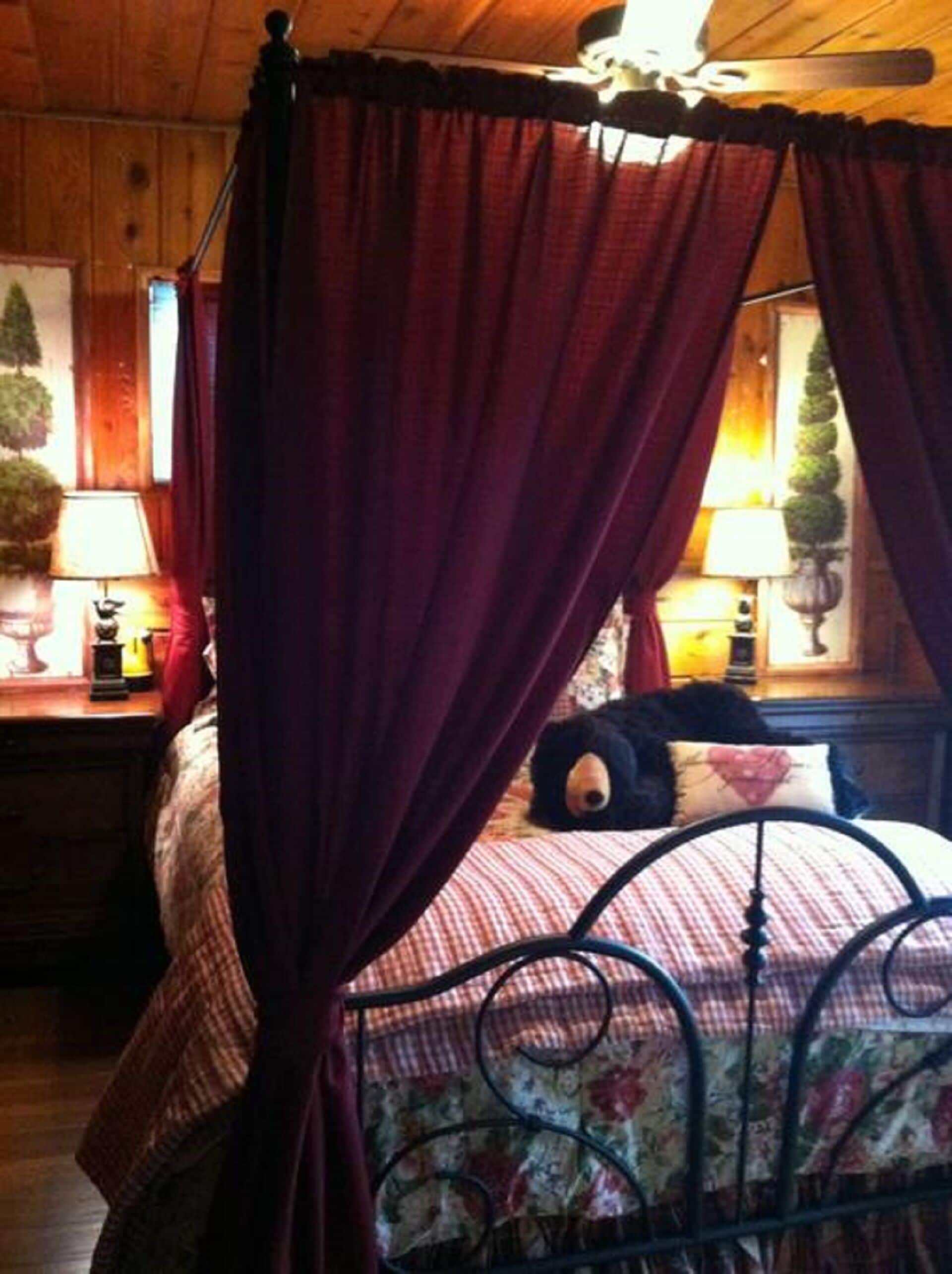 Lazy Bear Lodge,  SPA, Private Deck, WIFI Dogs OK in Idyllwild, United States