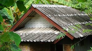 บริการ WiFi ฟรี