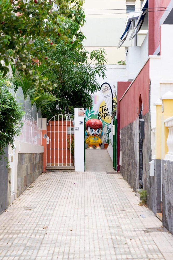 Photo - Tenerife Experience Hostel