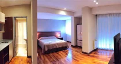 Plaza Hotel Paseo