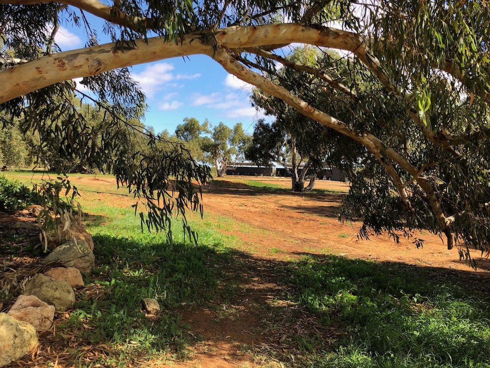 Wooramel Riverside Retreat Campground Deals & Reviews (Wooramel, AUS