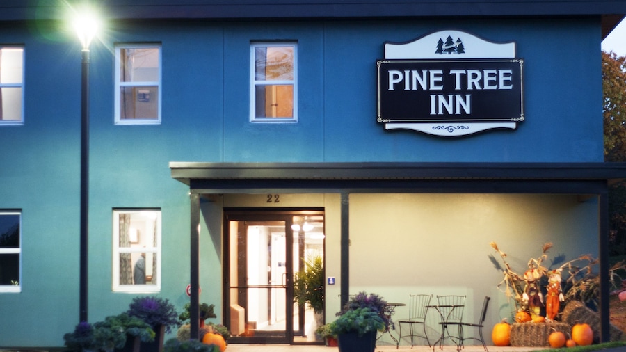 Pine Tree Inn