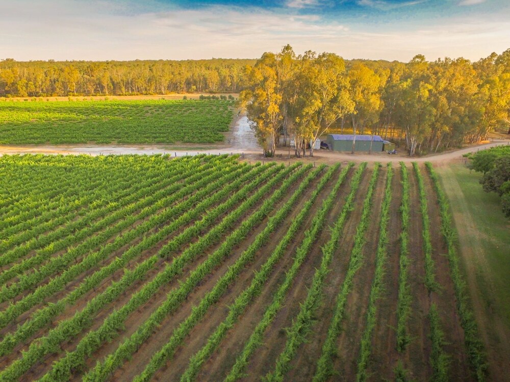 Cape Horn Vineyard Villa