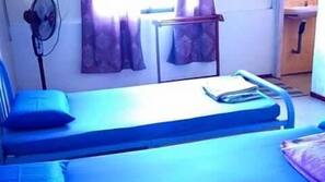 Desk, iron/ironing board, free WiFi