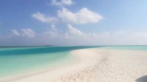 Plage à proximité, sable blanc, snorkeling, pêche sur place
