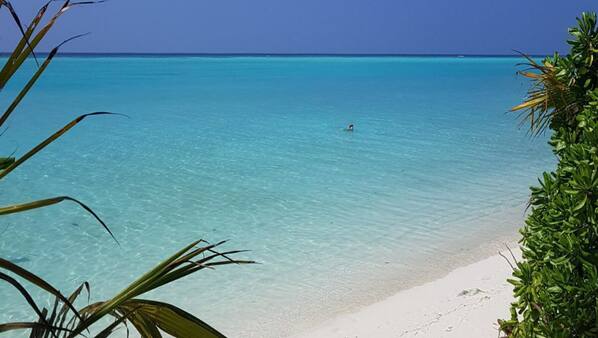 Plage à proximité, sable blanc, snorkeling, pêche sur place