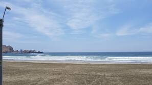 在海灘附近