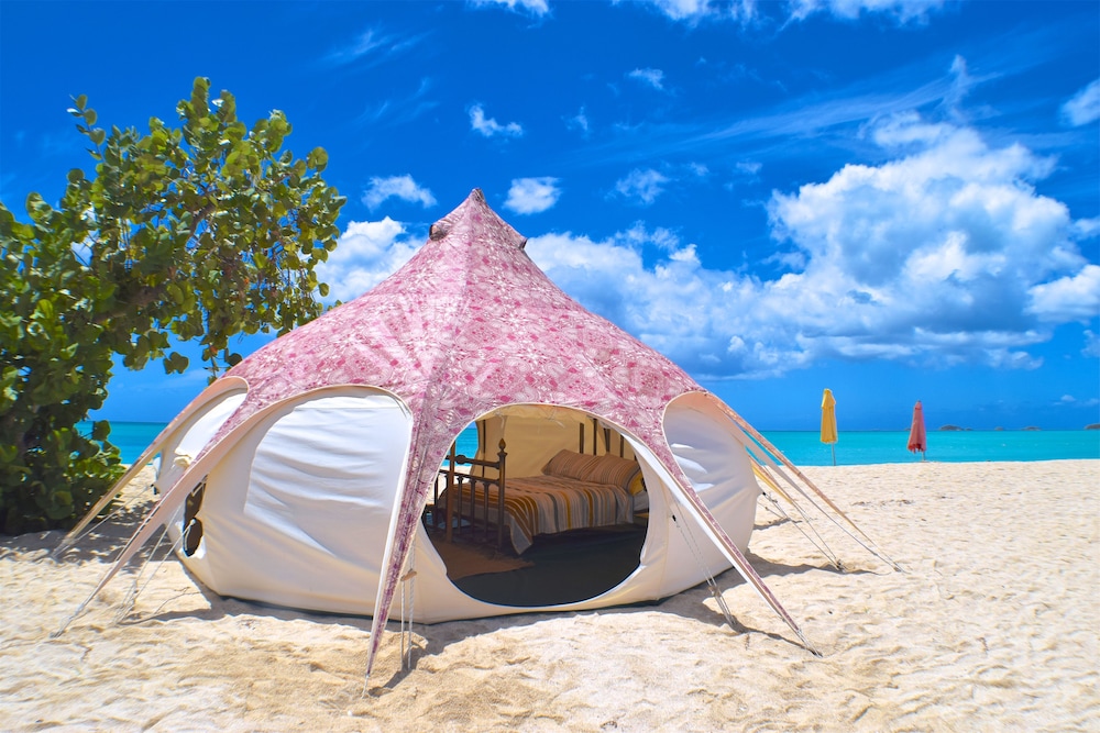 Room, Wild Lotus Camp- Glamping