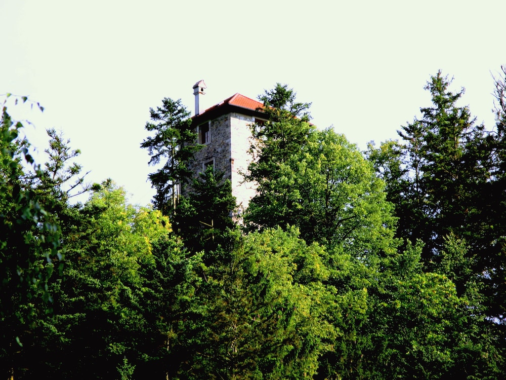 Photo - Zur Triftsperre